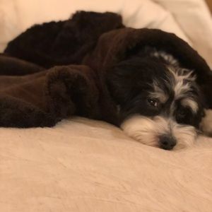 Meet your Posher, Alison